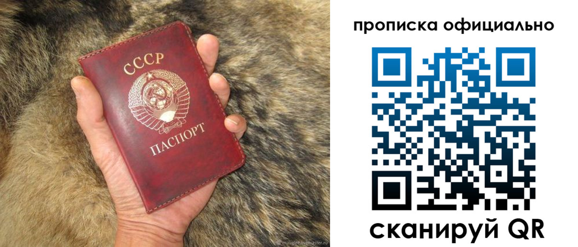 прописка паспорт в Дятьково